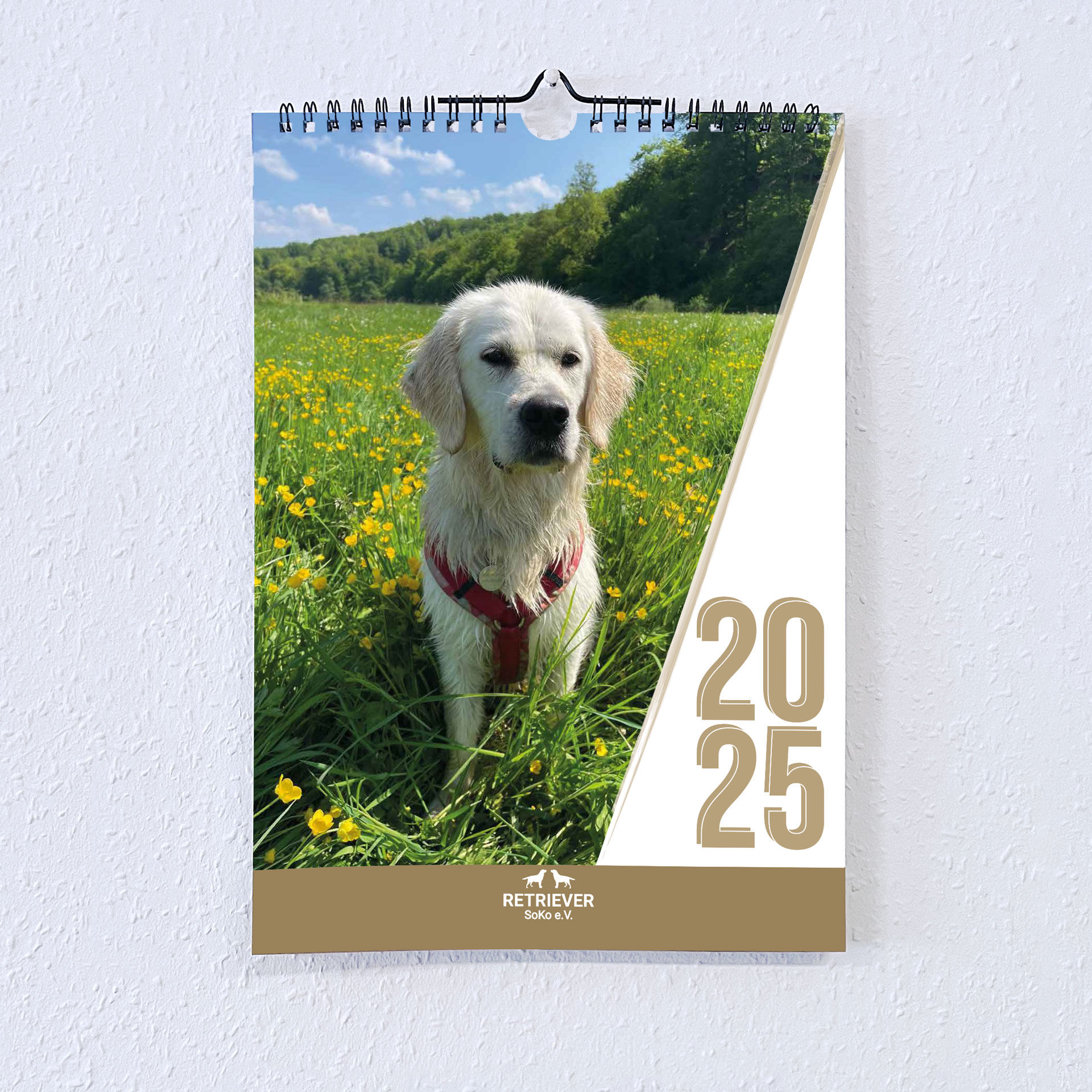 Foto-Wandkalender "Retriever Soko" 2025 (DIN A4)